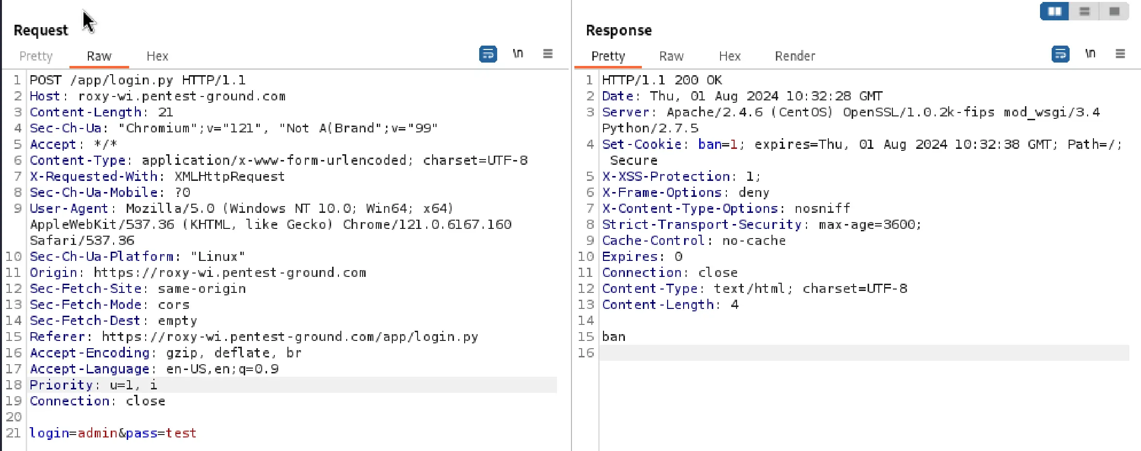 Roxy-WI Burp interface