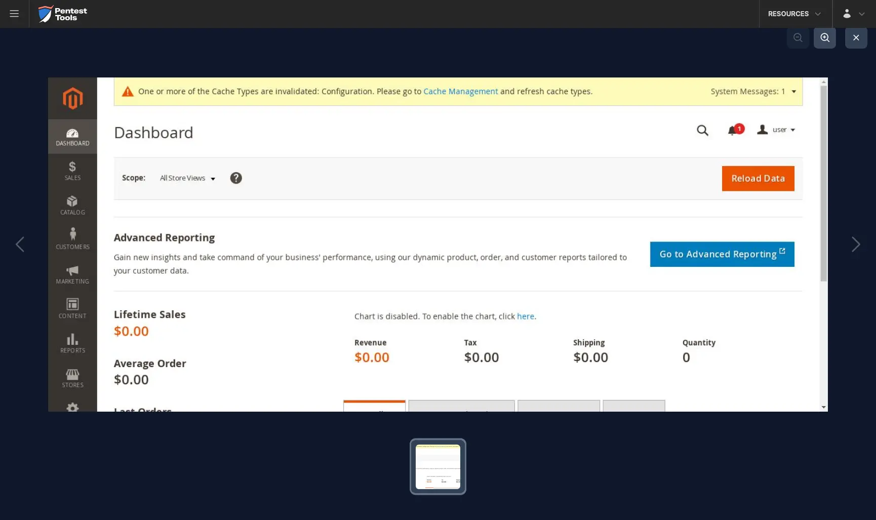 Password Auditor screenshot of the Magento logged-in session